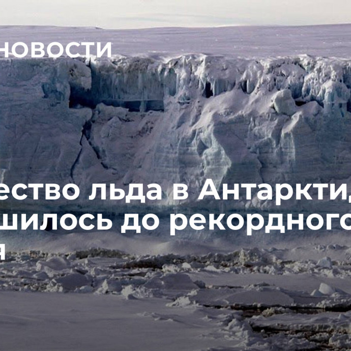 Количество льда в Антарктиде уменьшилось до рекордного уровня