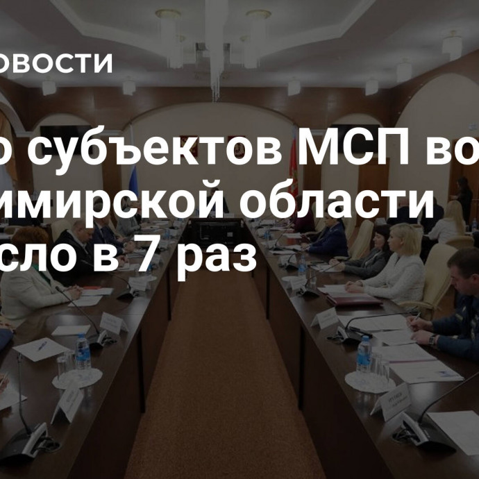 Число субъектов МСП во Владимирской области выросло в 7 раз