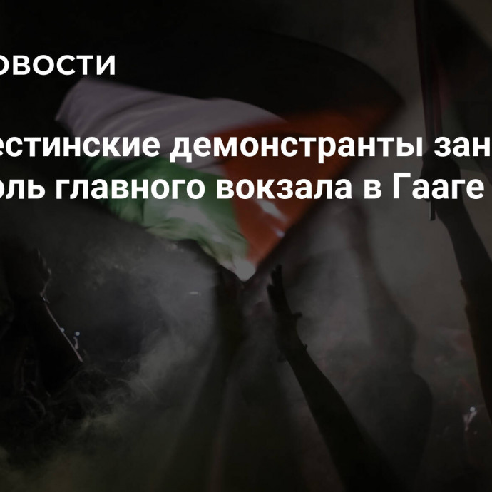 Пропалестинские демонстранты заняли вестибюль главного вокзала в Гааге