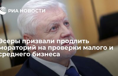 Эсеры призвали продлить мораторий на проверки малого и среднего бизнеса