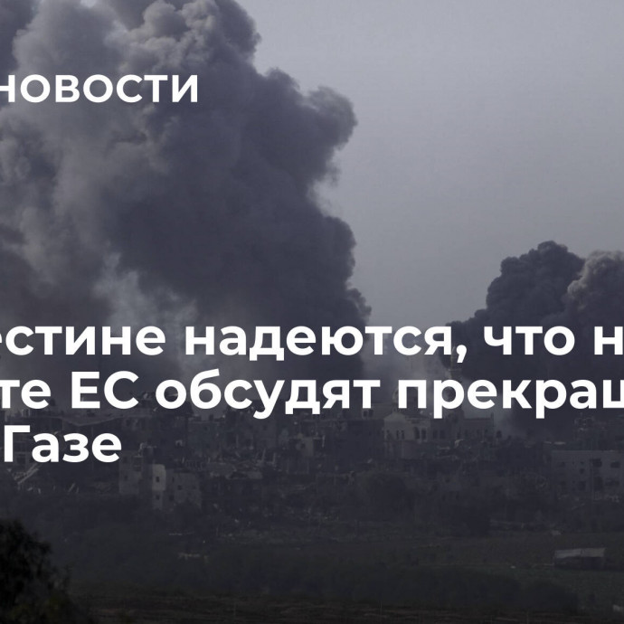 В Палестине надеются, что на саммите ЕС обсудят прекращение огня в Газе