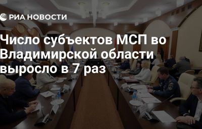 Число субъектов МСП во Владимирской области выросло в 7 раз