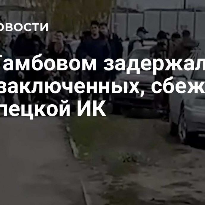 Под Тамбовом задержали двух заключенных, сбежавших из липецкой ИК