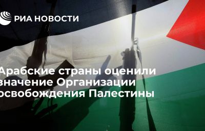 Арабские страны оценили значение Организации освобождения Палестины