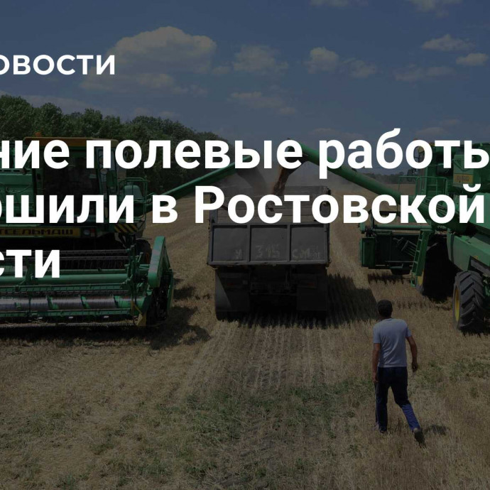 Осенние полевые работы завершили в Ростовской области