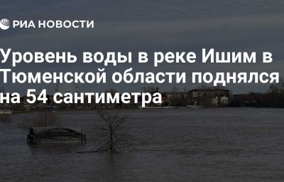 Уровень воды в реке Ишим в Тюменской области поднялся на 54 сантиметра