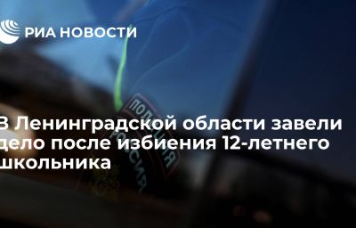 В Ленинградской области завели дело после избиения 12-летнего школьника