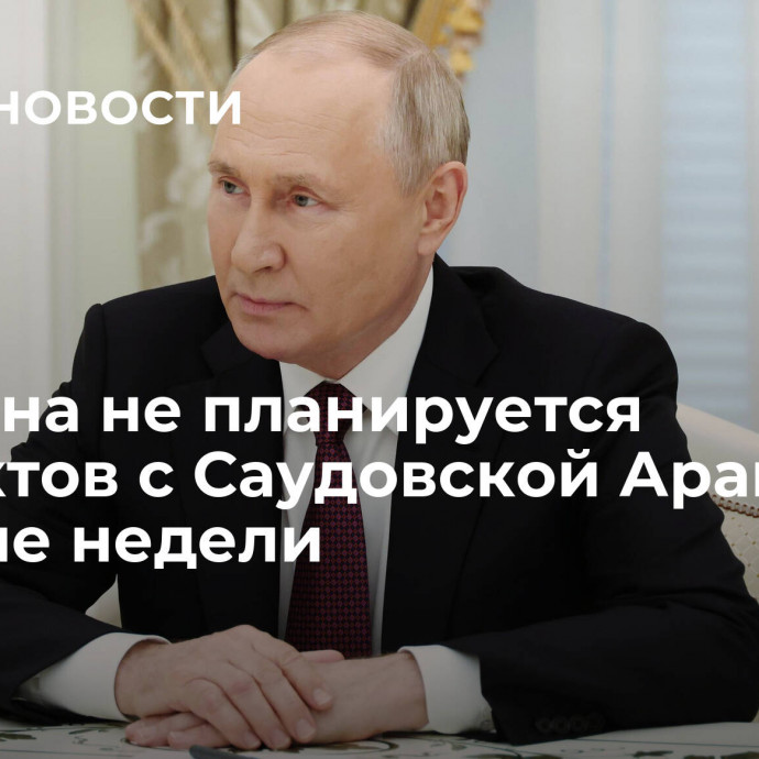 У Путина не планируется контактов с Саудовской Аравией в течение недели