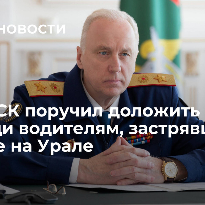 Глава СК поручил доложить о помощи водителям, застрявшим в пробке на Урале