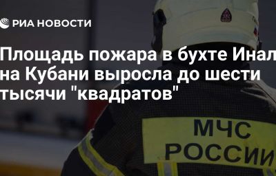 Площадь пожара в бухте Инал на Кубани выросла до шести тысячи "квадратов"