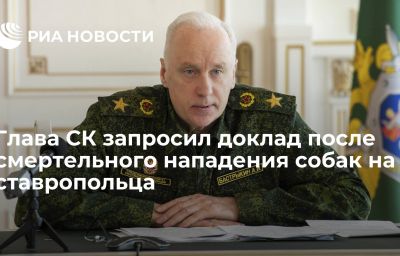 Глава СК запросил доклад после смертельного нападения собак на ставропольца