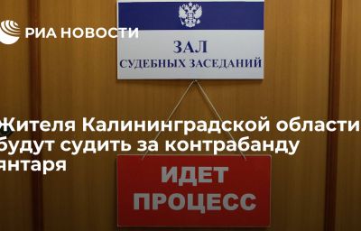 Жителя Калининградской области будут судить за контрабанду янтаря