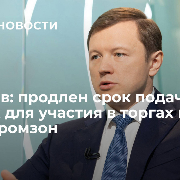 Ефимов: продлен срок подачи заявок для участия в торгах на КРТ двух промзон