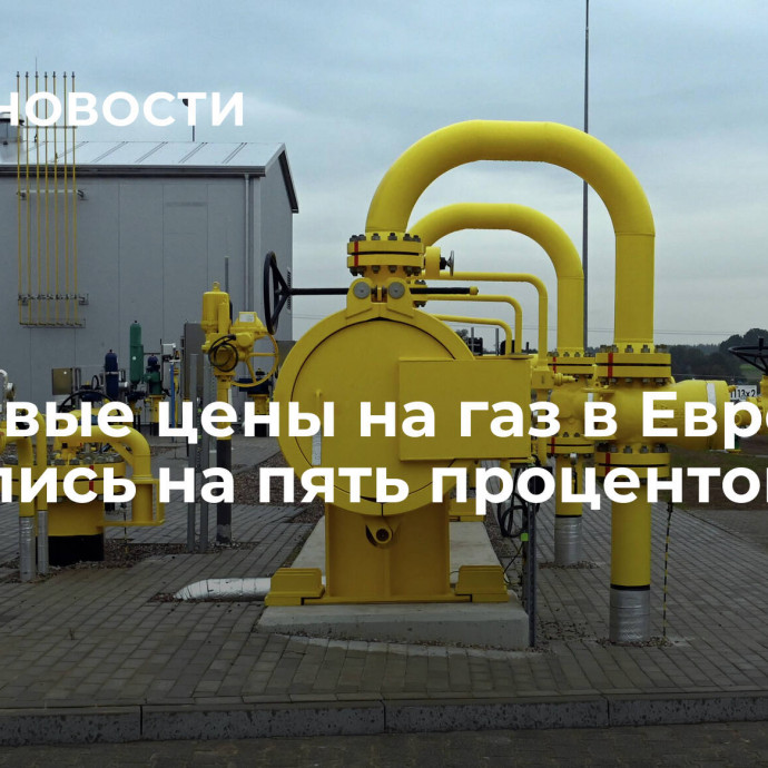 Биржевые цены на газ в Европе снизились на пять процентов