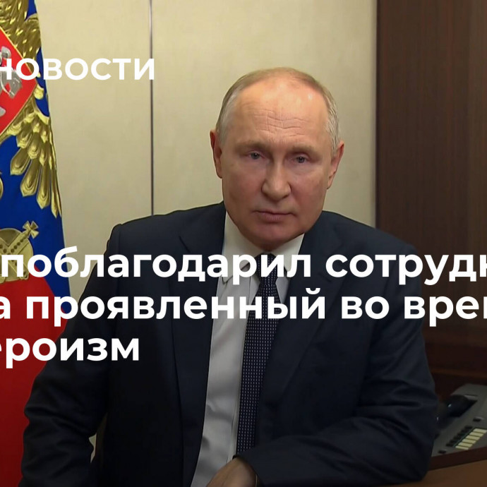 Путин поблагодарил сотрудников МВД за проявленный во время СВО героизм