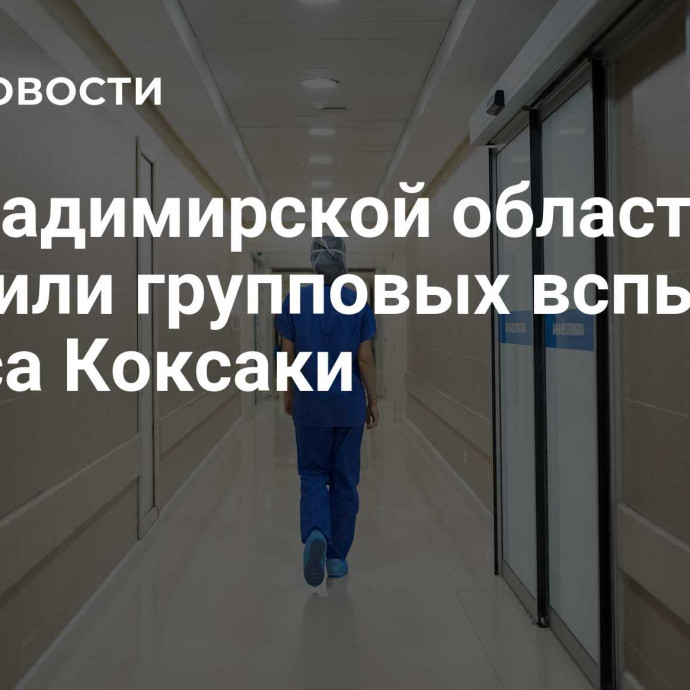 Во Владимирской области не выявили групповых вспышек вируса Коксаки