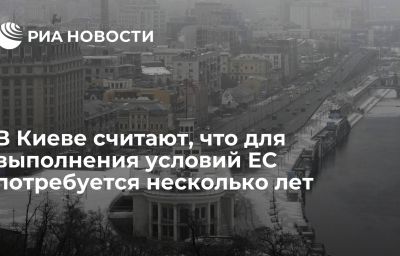 В Киеве считают, что для выполнения условий ЕС потребуется несколько лет