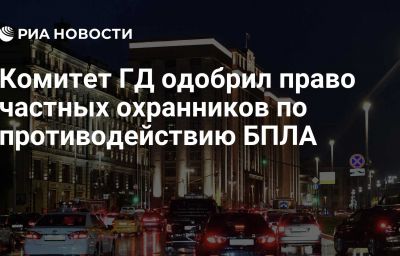 Комитет ГД одобрил право частных охранников по противодействию БПЛА