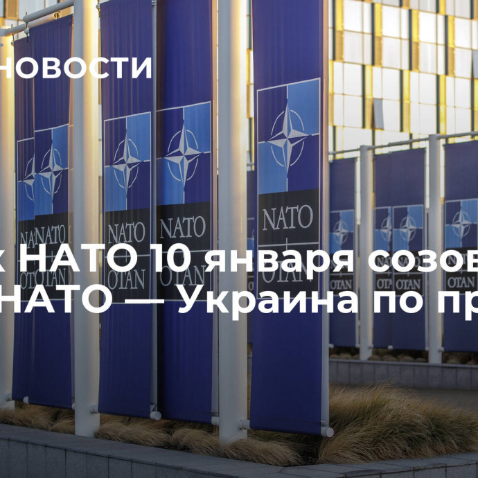 Генсек НАТО 10 января созовет Совет НАТО — Украина по просьбе Киева