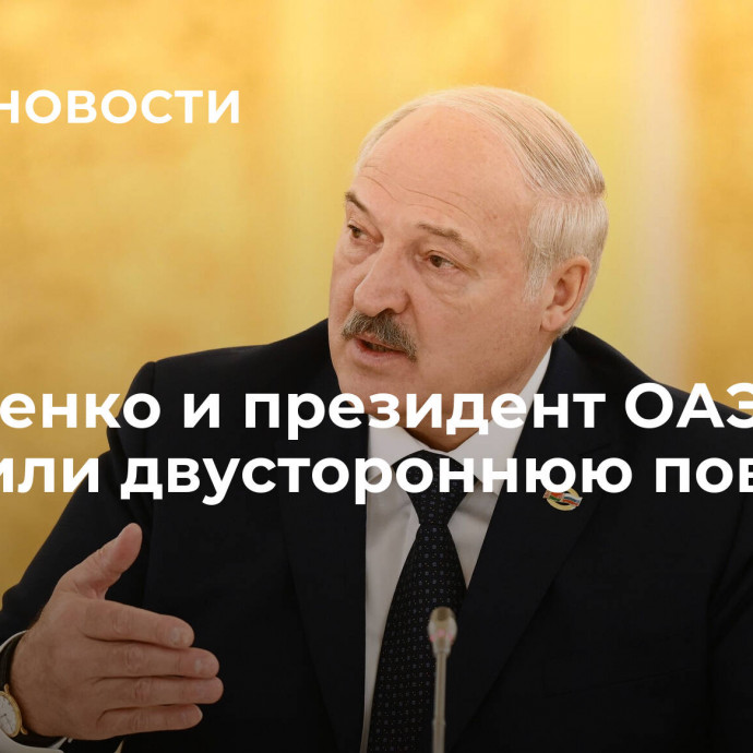 Лукашенко и президент ОАЭ обсудили двустороннюю повестку