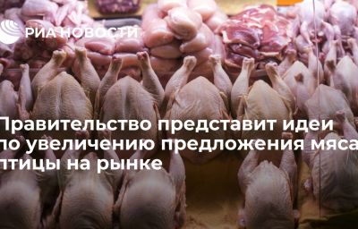 Правительство представит идеи по увеличению предложения мяса птицы на рынке