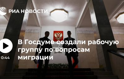 В Госдуме создали рабочую группу по вопросам миграции