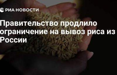 Правительство продлило ограничение на вывоз риса из России