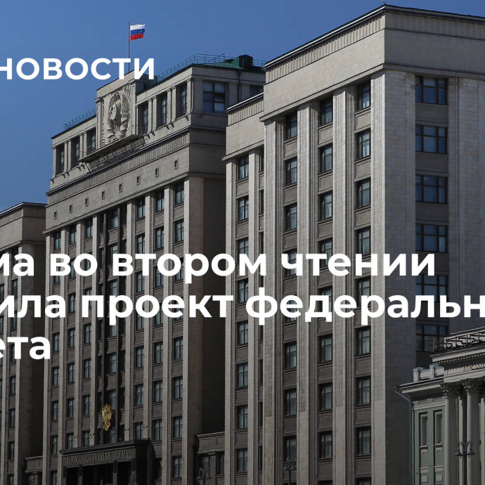 Госдума во втором чтении одобрила проект федерального бюджета