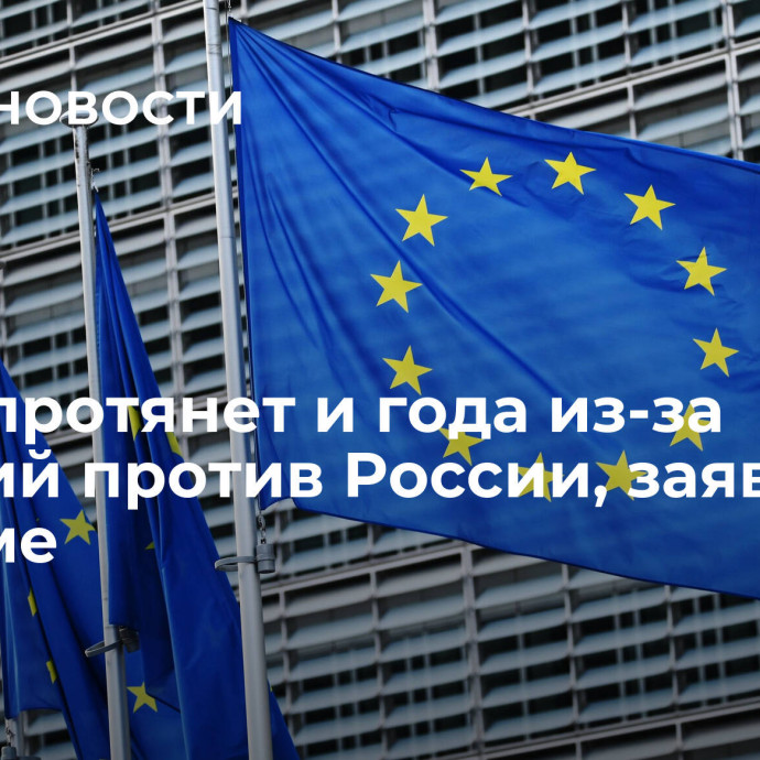 ЕС не протянет и года из-за санкций против России, заявили в Госдуме