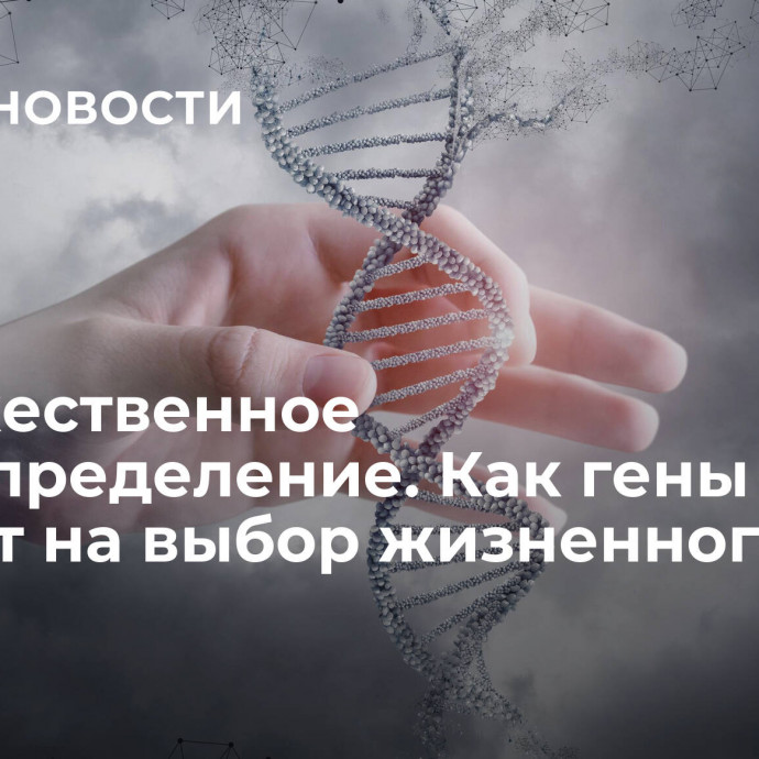 Небожественное предопределение. Как гены влияют на выбор жизненного пути