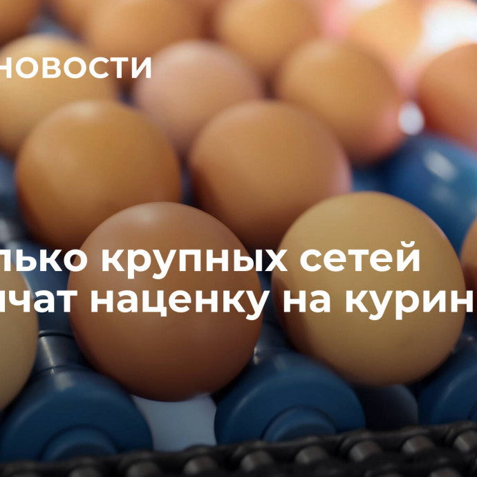 Несколько крупных сетей ограничат наценку на куриные яйца