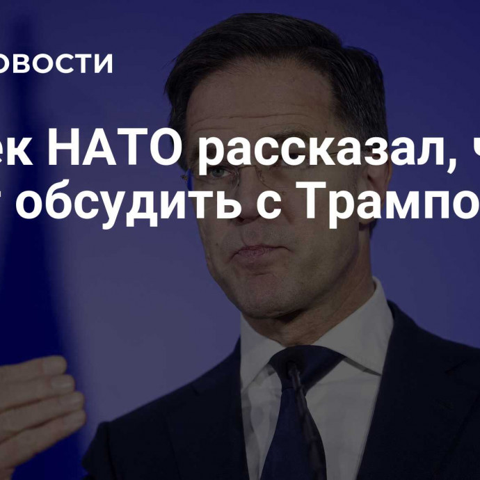 Генсек НАТО рассказал, что хочет обсудить с Трампом