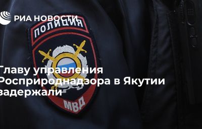 Главу управления Росприроднадзора в Якутии задержали