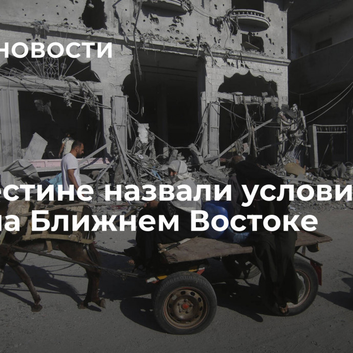 В Палестине назвали условие для мира на Ближнем Востоке