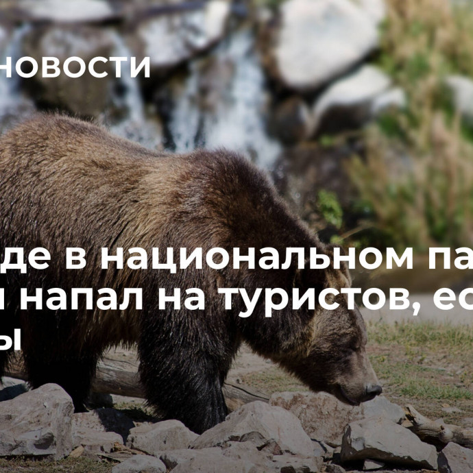 В Канаде в национальном парке гризли напал на туристов, есть жертвы