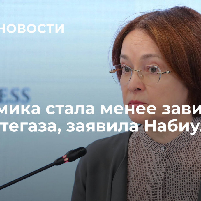 Экономика стала менее зависима от нефтегаза, заявила Набиуллина