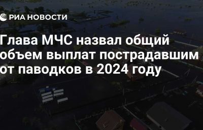 Глава МЧС назвал общий объем выплат пострадавшим от паводков в 2024 году