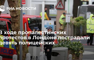 В ходе пропалестинских протестов в Лондоне пострадали девять полицейских