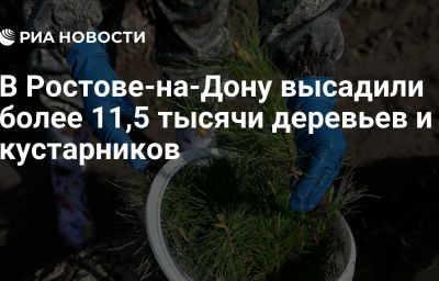 В Ростове-на-Дону высадили более 11,5 тысячи деревьев и кустарников