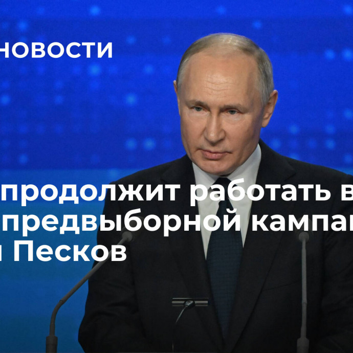 Путин продолжит работать во время предвыборной кампании, заявил Песков