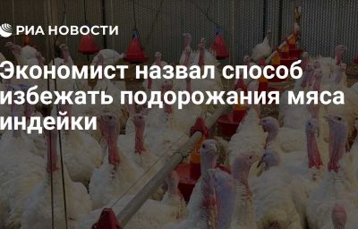 Экономист назвал способ избежать подорожания мяса индейки