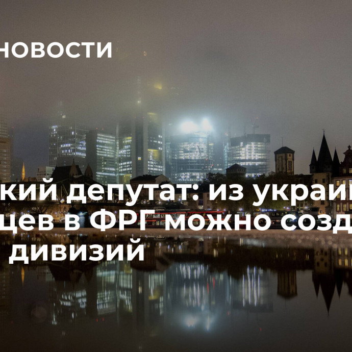 Немецкий депутат: из украинских беженцев в ФРГ можно создать десять дивизий