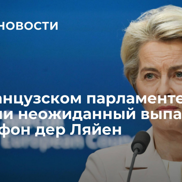 Во французском парламенте сделали неожиданный выпад в адрес фон дер Ляйен