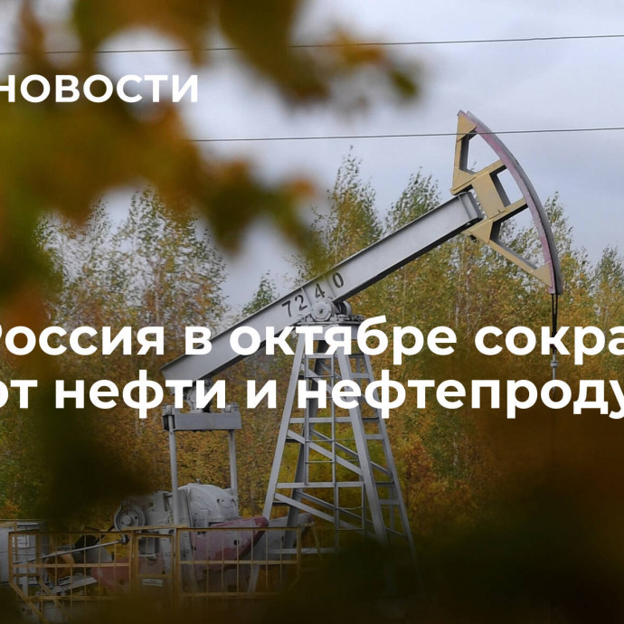 МЭА: Россия в октябре сократила экспорт нефти и нефтепродуктов