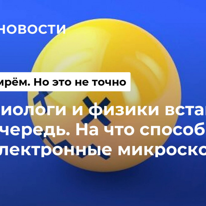 Биологи и физики встают в очередь. На что способны электронные микроскопы