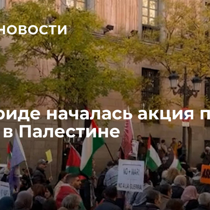 В Мадриде началась акция против войны в Палестине