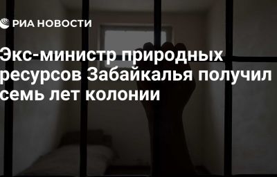 Экс-министр природных ресурсов Забайкалья получил семь лет колонии