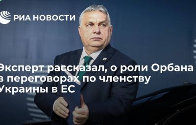 Эксперт рассказал, о роли Орбана в переговорах по членству Украины в ЕС