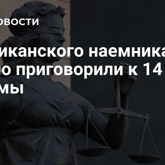 Американского наемника заочно приговорили к 14 годам тюрьмы