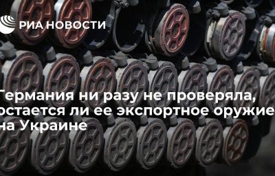 Германия ни разу не проверяла, остается ли ее экспортное оружие на Украине